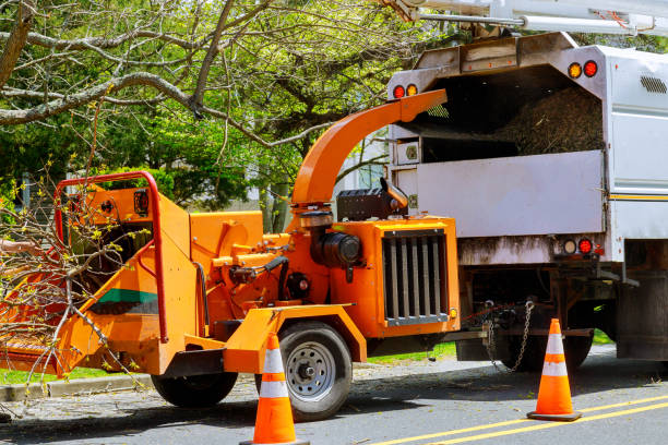 Reliable Luckey, OH Tree Removal and Landscaping Services Solutions